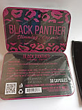 Black Panther Черная пантера, фото 5