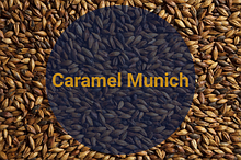 Солод Карамельный Мюнхенский / Caramel Munich, 140-170 EBC (Soufflet), 1кг