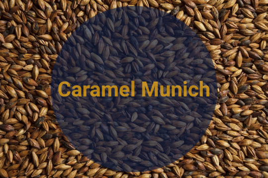 Солод Карамельный Мюнхенский Темный / Dark Caramel Munich, 180-210 EBC (Soufflet), 1 кг