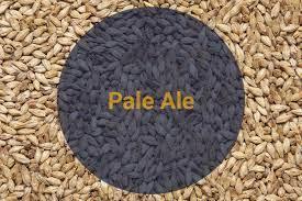 Солод Пейл Эль / Pale Ale, 4,5-7 EBC (Soufflet)