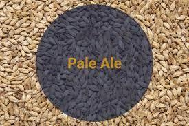 Солод Пейл Эль / Pale Ale, 4,5-7 EBC (Soufflet) - фото 1 - id-p95369407
