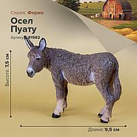 Кармела Бингпен анальды секс Бодибилдинг порно актрисалары