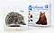 Кубики с картинками «Лесные животные» (без обклейки) 4 шт. арт.00716, фото 3