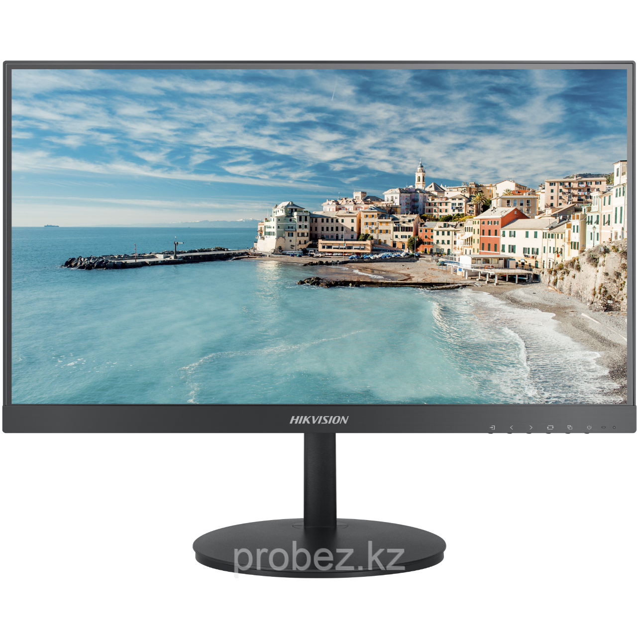 Монитор цветной Hikvision DS-D5022FN-C (21,5")