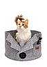 Лежанка «Пиджак» для животных (кошек и собак малых пород), войлок, 45х45х29см, фото 5