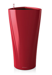 Лесби құлдығы, БДСМ, жопадағы жұдырық