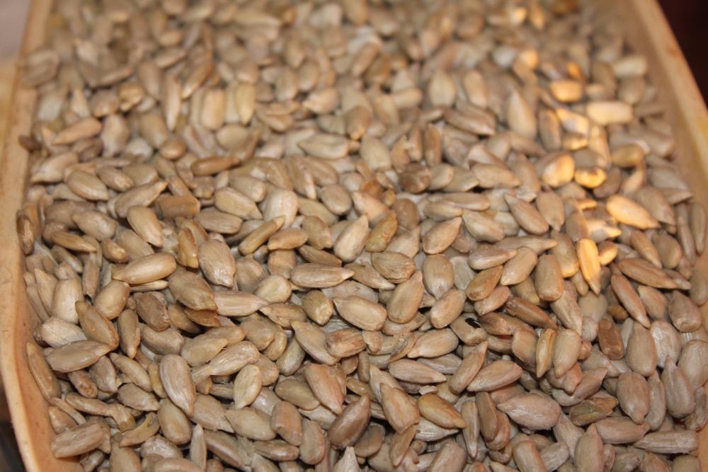 Семя Подсолнечника Очищенное Купить