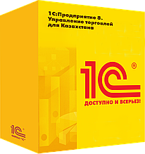 1С:Предприятие 8. Управление торговлей для Казахстана. Программная защита и Электронная поставка.