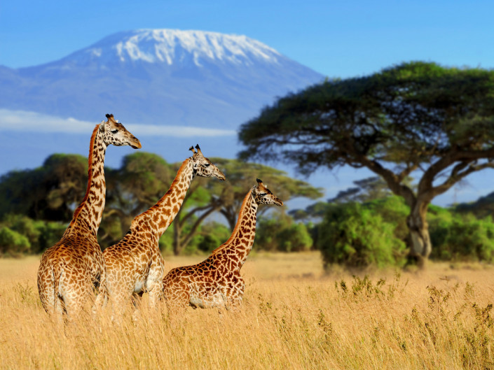 Экзотические туры в Танзанию