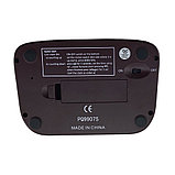 Часы шахматные электронные Leap, фото 4