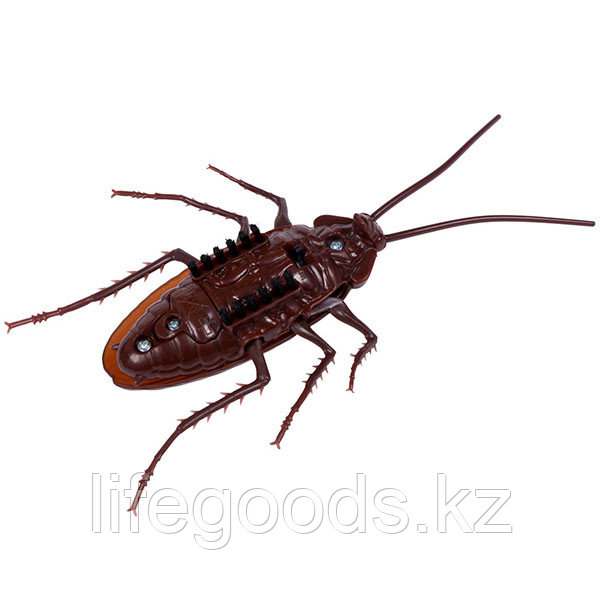 Орысша үлкен пландағы порно онлайн бейнелер