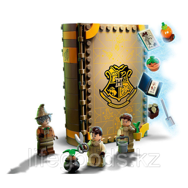 LEGO Harry Potter 76384 Конструктор ЛЕГО Гарри Поттер Учёба в Хогвартсе: Урок травологии - фото 5 - id-p95636111