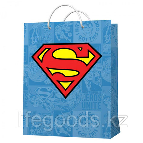 Superman 287065 Пакет подарочный большой (голубой с лого), 220*310*100 мм, фото 1