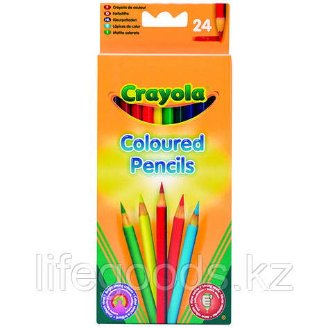 Crayola 3624 Набор цветных карандашей, 24 шт, фото 2