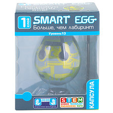 Smart Egg SE-87010 ГоловоломкаКапсула", фото 2