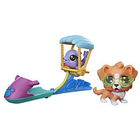 Hasbro Littlest Pet Shop C1201 Новые чудесные приключения