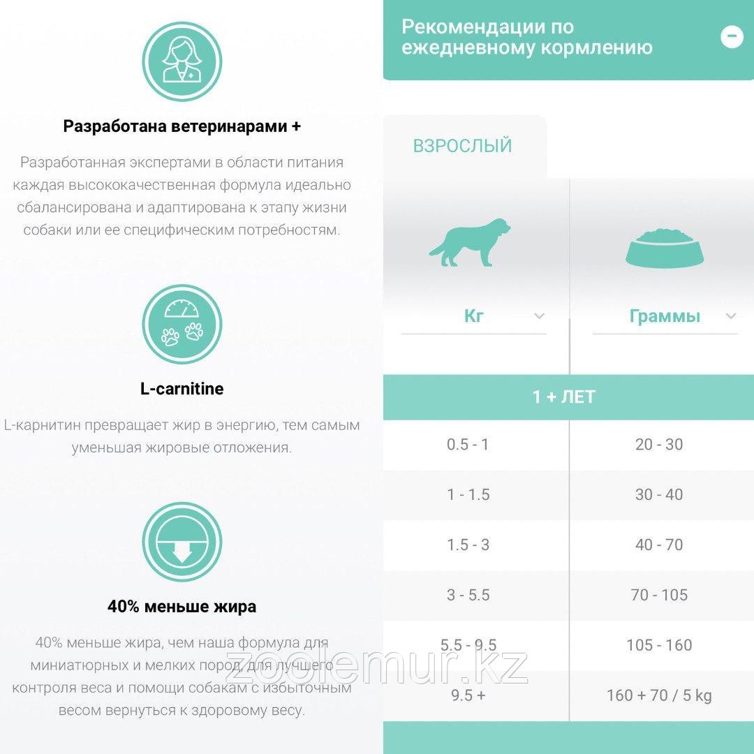 1`st CHOICE WEIGHT CONTROL Контроль Веса сухой корм для взрослых собак малых и средних пород, 2кг - фото 3 - id-p95642971