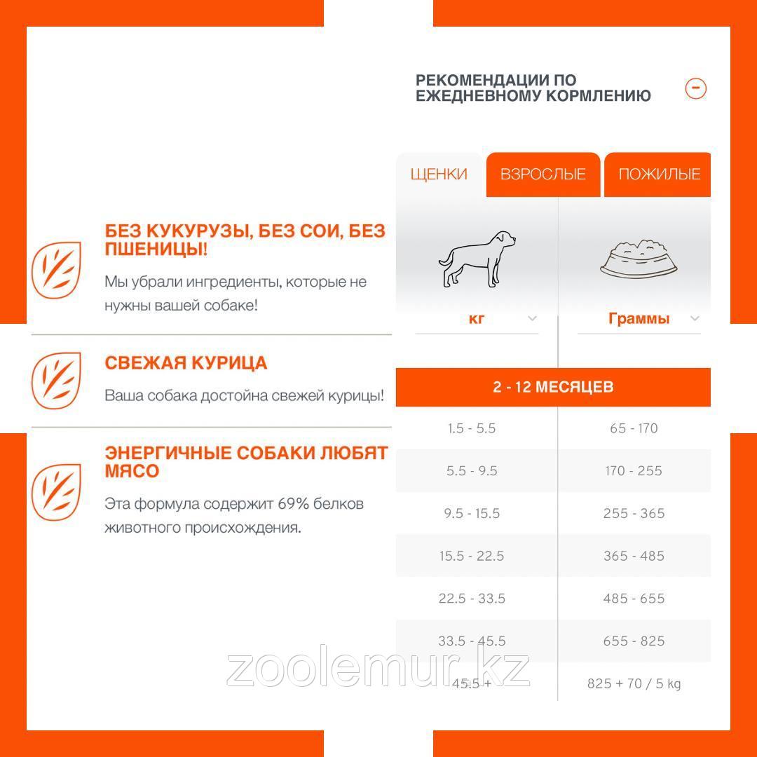 Pronature Life MOOV Active корм для щенков и собак с курицей, 2,27кг - фото 3 - id-p95655229