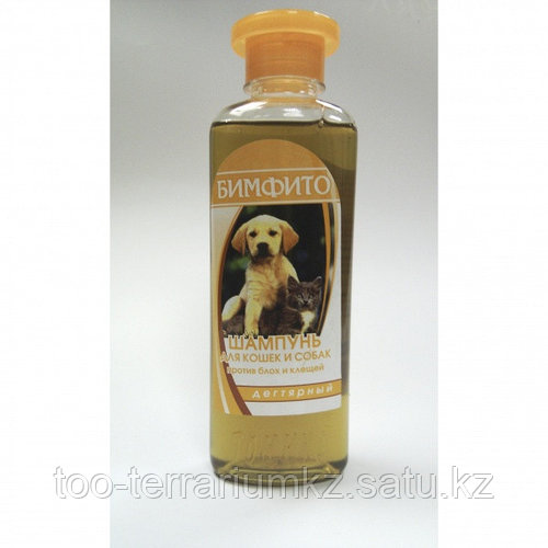 Орыс домашнее порно: қарт адам трахает жас әйел Қыз қынаптарының фотосуреттері