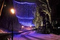 Монтаж гирлянд на деревья, кусты, монтаж гирлянд на елки