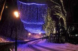 Монтаж гирлянд на деревья, кусты, монтаж гирлянд на елки