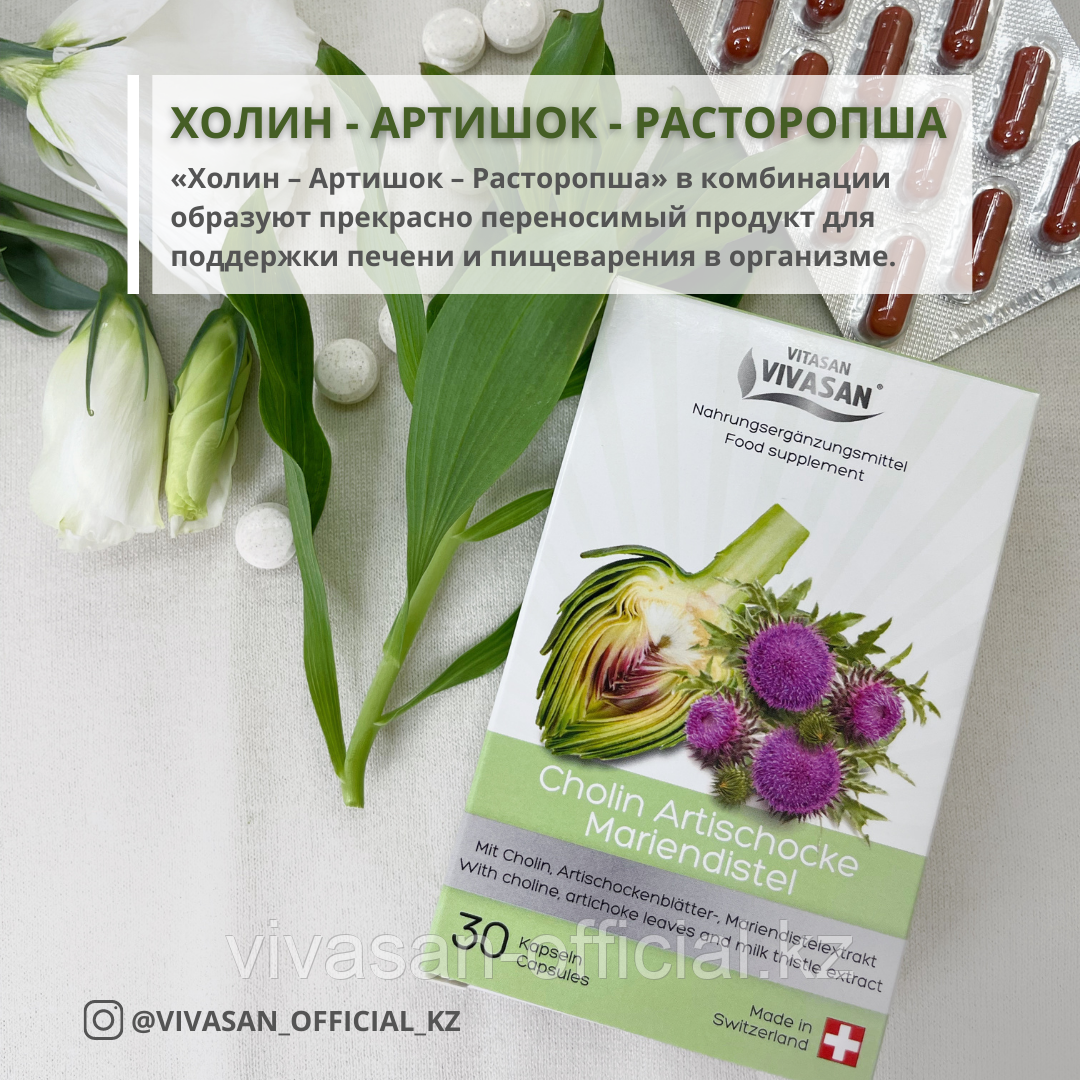 Капсулы Холин-Артишок-Расторопша: продажа, цена в Алматы. Препараты для ...