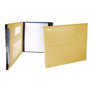 Папка-конверт, на 2-х кнопках, 0.7мм, DISCOVERY, 4 отд, каскад, карман для CD,желтый, фото 2