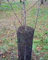 Сетка для защиты саженцев с хомутами Ф-8. От грызунов, от зайцев.