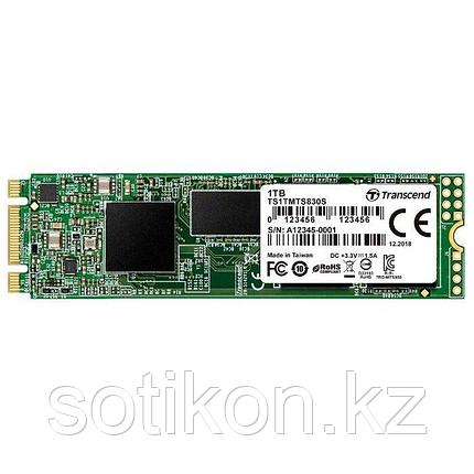 Жесткий диск SSD 1TB Transcend TS1TMTS830S, фото 2