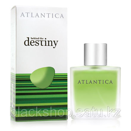 Парфюмерная вода Dilis для мужчин Atlantica Behind the Destiny, 100мл