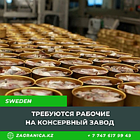Требуются рабочие на консервный завод в Швецию