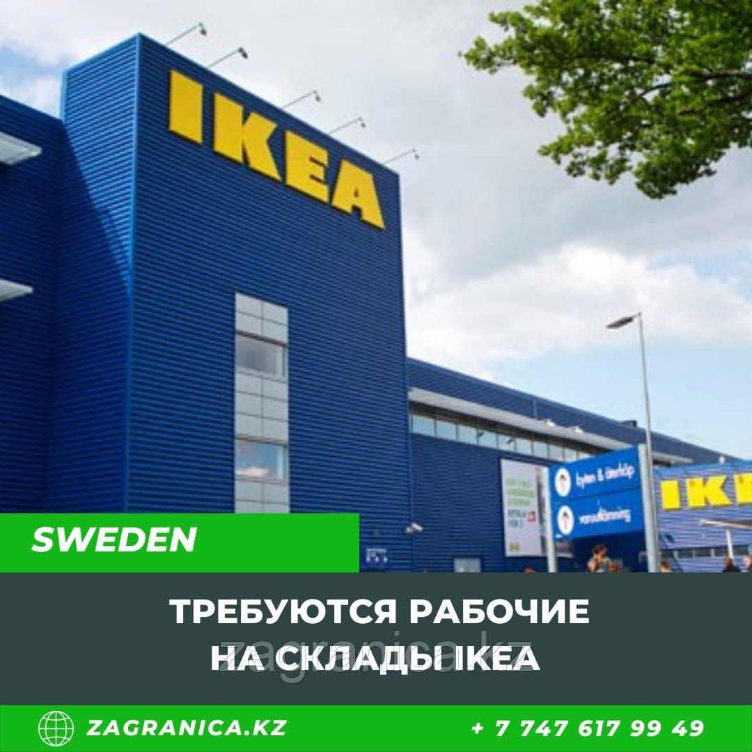Требуются рабочие на склады IKEA в Швецию