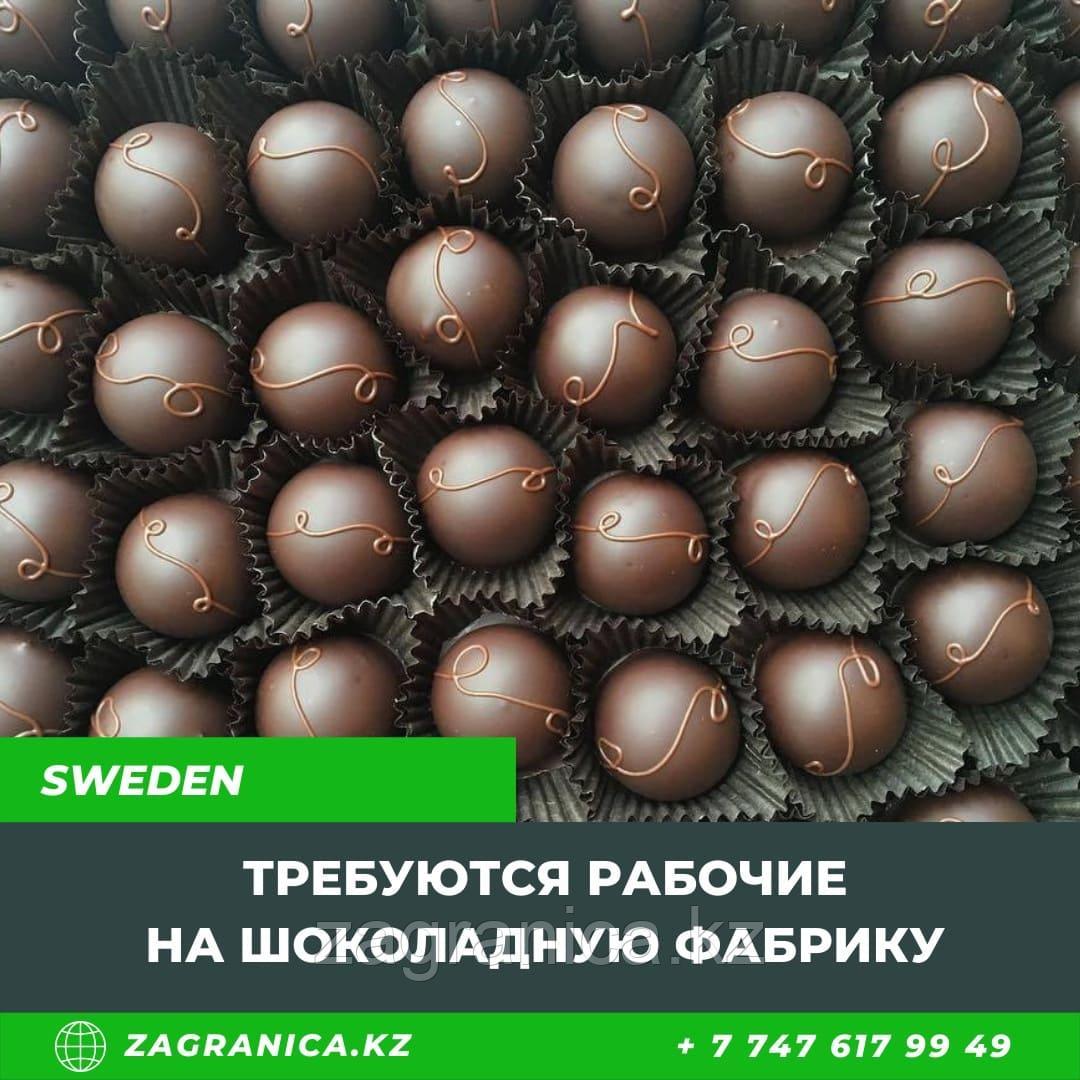 Требуются рабочие на шоколадную фабрику в Швецию