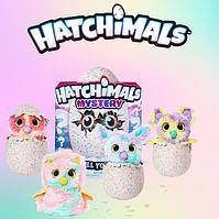 Hatchimals (Хэтчималс)