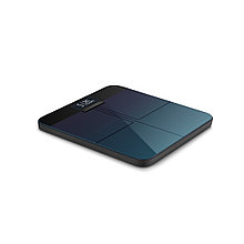 Smart весы Amazfit Smart Scale A2003