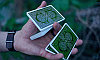 National Green Playing Cards by theory11, фото 7