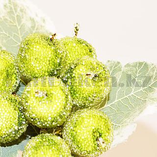 Жас қызы бар порно видео