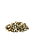 Versele-Laga DEGU NATURE PREMIUM корм для дегу 700гр, фото 3