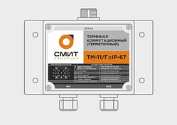 Терминал концевой измерительный герметичный ТМ-11Г