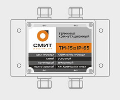 Терминал проходной 2-х сторонний ТМ-15