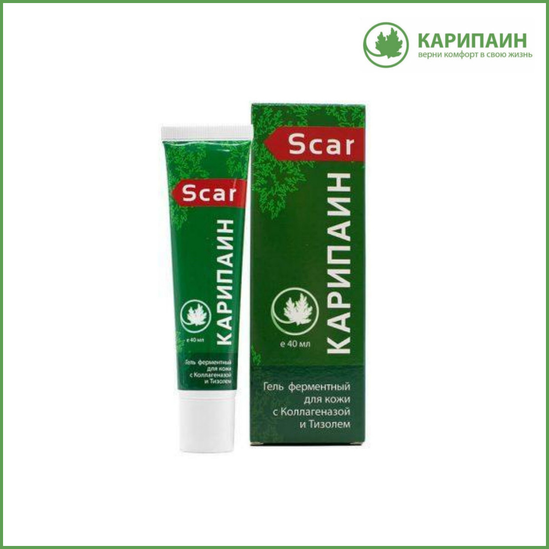 Карипаин Инструкция По Применению Цена