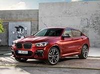 Доводчик дверей (присоски) для BMW X4 (g02) 2018-2020