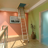 Чердачная лестница 60х120х280 FAKRO LWK Komfort, фото 4