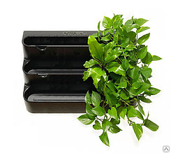 Фитомодуль "BOXAND21" с горшками