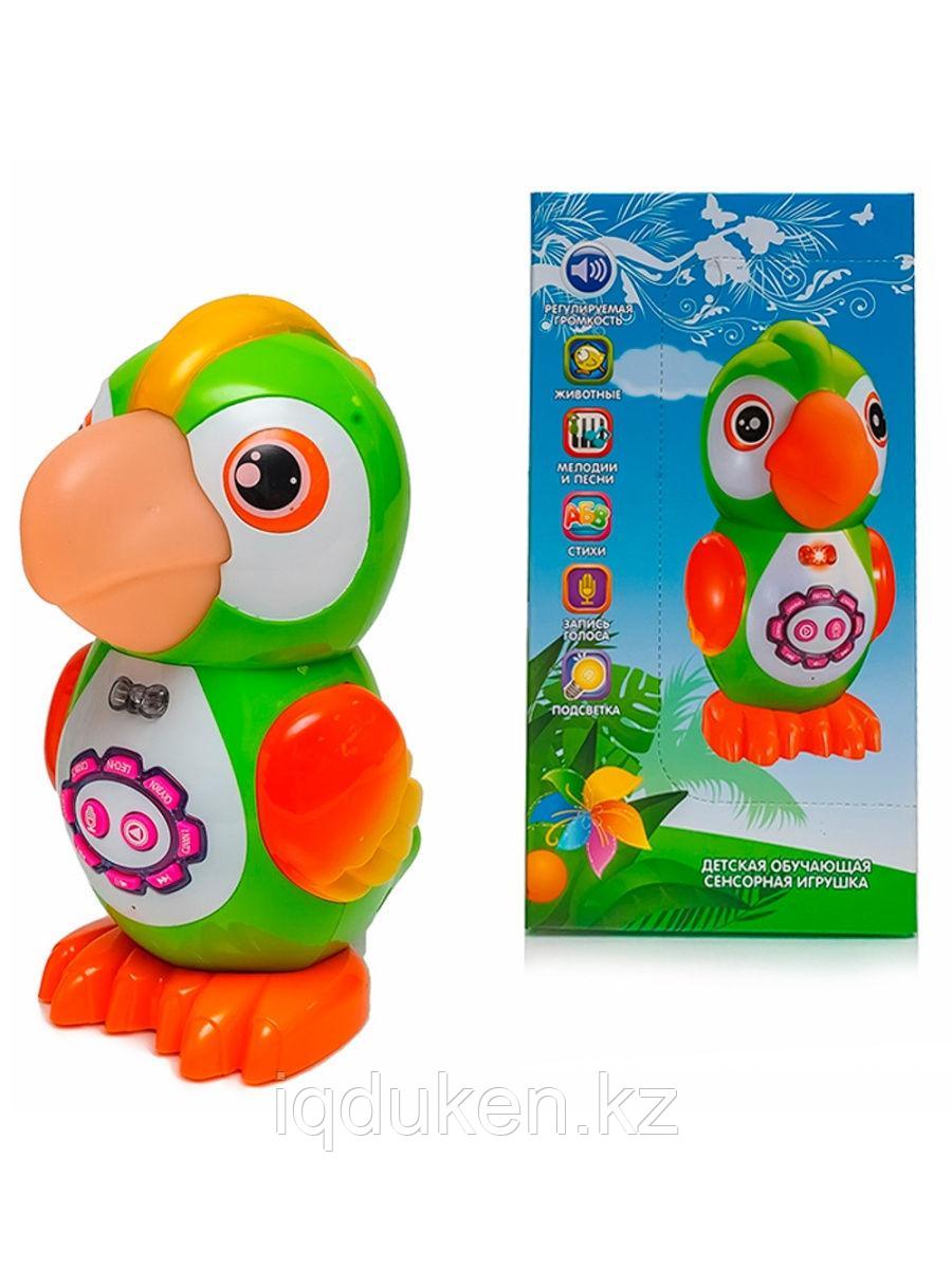 Интерактивная игрушка Умный попугай - фото 1 - id-p95921404