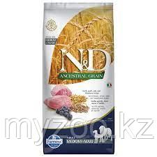 Фармина N&D Dog AG низкозерновой ягненок, спельта, овес и черника д/щенков медиум/макси, 12кг