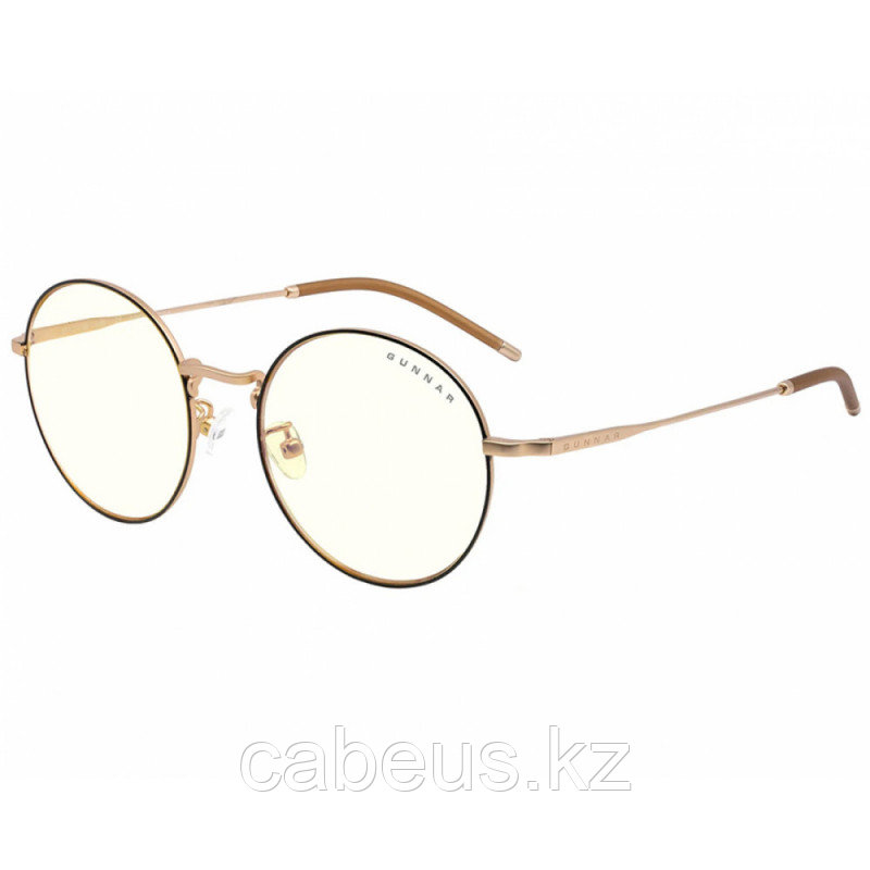 Очки для компьютера GUNNAR Ellipse Clear, Black/Gold - фото 1 - id-p95950115