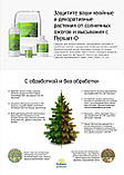Пуршат - О средство защиты хвойных и декоративных растений от солнечных ожогов, 1 л, фото 3