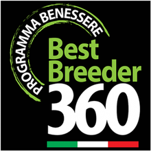 Best Breeder 360. Корма для собак премиум класса