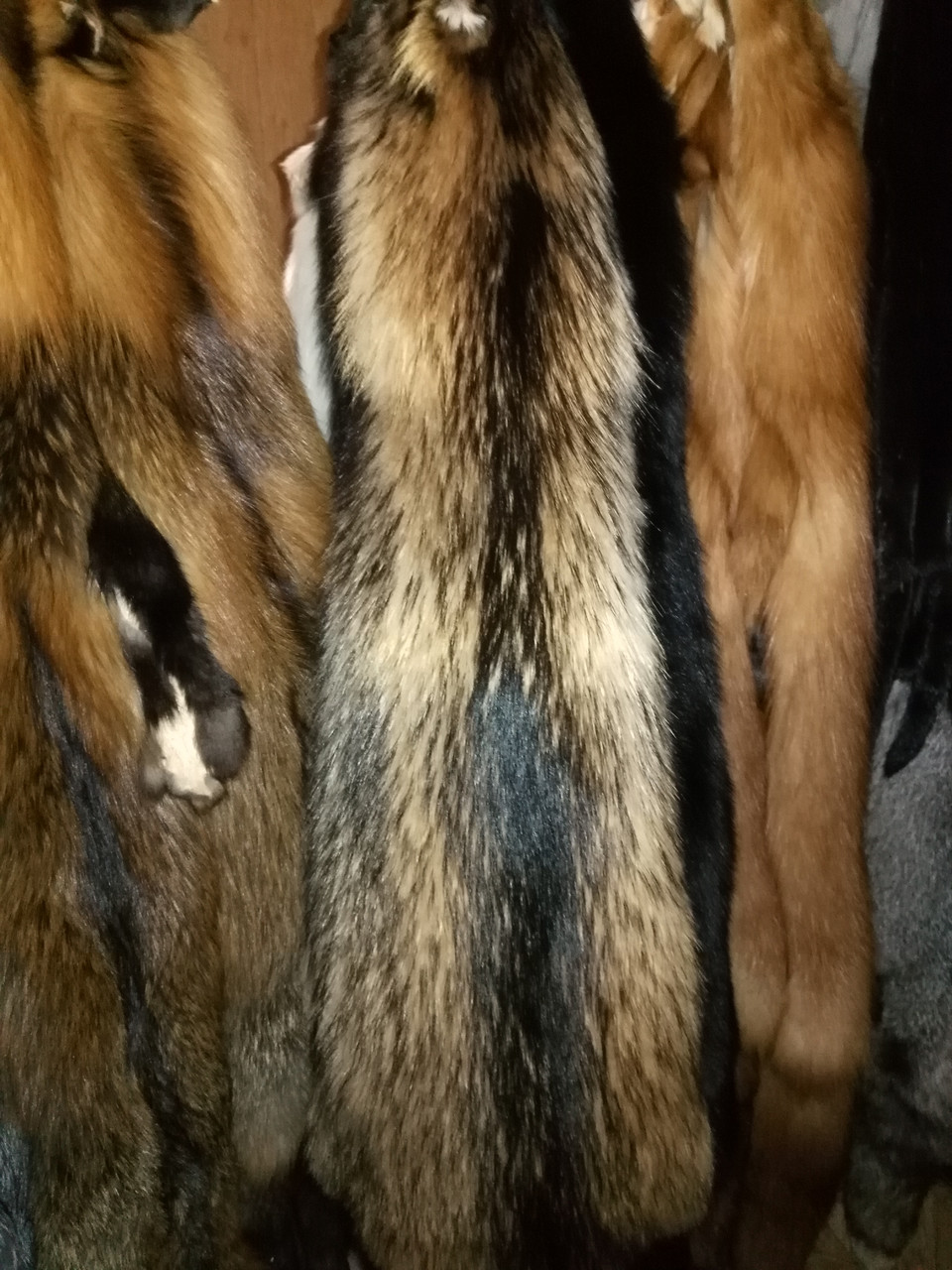 Мех Финского енота и лисопса - фото 2